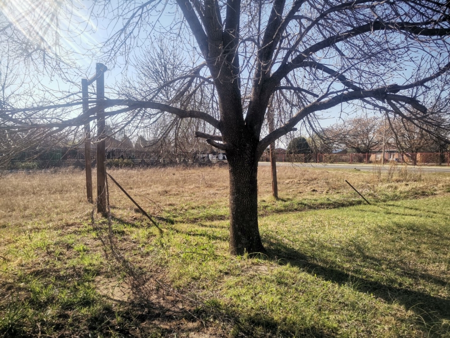 3 Bedroom Property for Sale in Senekal Free State